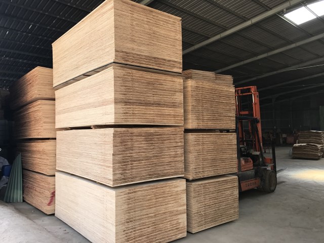 Vận chuyển gỗ trong nhà máy - Gỗ Bạch Đằng - Công Ty TNHH Gỗ Bạch Đằng